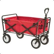 Lil Wagon