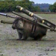 A Combat Wombat