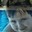 Group Avatar