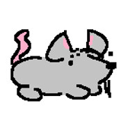Rat?!