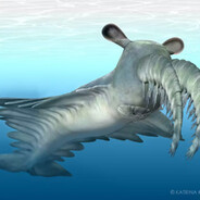 Real Anomalocaris on Computer