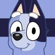 Socks Heeler