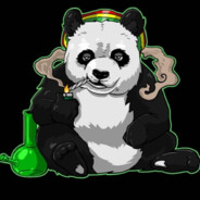 pandyffffff