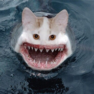 Sharkcatnado