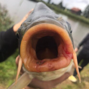 grzech