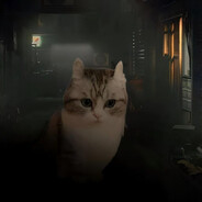  [ Steam Profile ] 