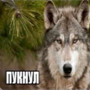 пират
