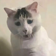 教科书c