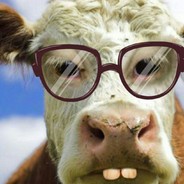 Dr Cow