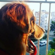 rıfat reis