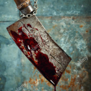 Cleaver