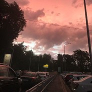 Oгурец