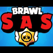 Brawl_Sas228