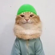 вовчик сынша лавы