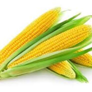 .corn