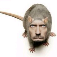 DR. MOUSE