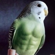 E-Sport | Qedy