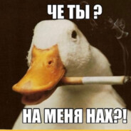 Гусь на травке