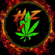 H1GH_ZOMB13