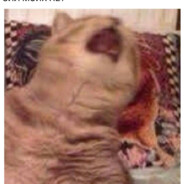 Экси