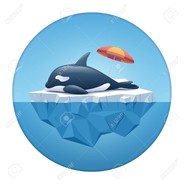 Orca