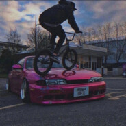 -sapf1r