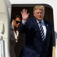 BYE BYE iLLEGALS