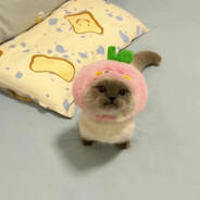 ♥♥♥♥♥♥
