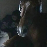 horseanin