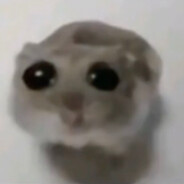 Filet Hamster