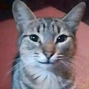 TINgarcha