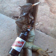 Lizard