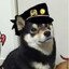 ToxicTheDog