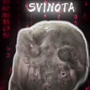 Фелентий SVinOta