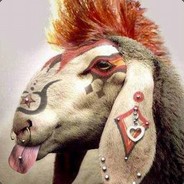 Punk Sheep