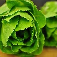 TomLettuce