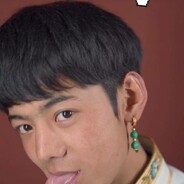 赛博丁真（沉淀）