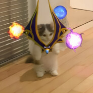 catvokerm