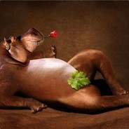 GL_CC