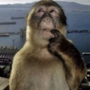 the thinker