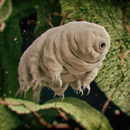 Tardigrade