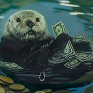 MoneyPullOtter