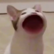 seymanurrr