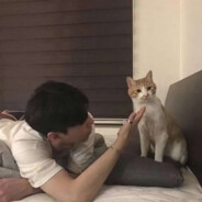 计缘