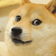 dannyzxc5611