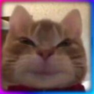 mlodydziobakCSGOSKINSskins.army