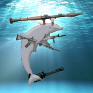 AngryDolphin999