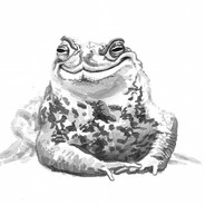 Kroete