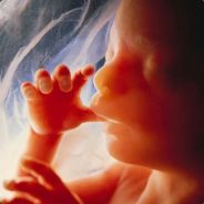 Steam profile picture for @fetal
