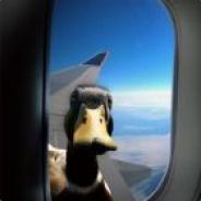 Quacktastic